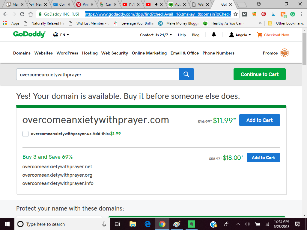 screen shot of godaddy.com registering a domain name for blog 