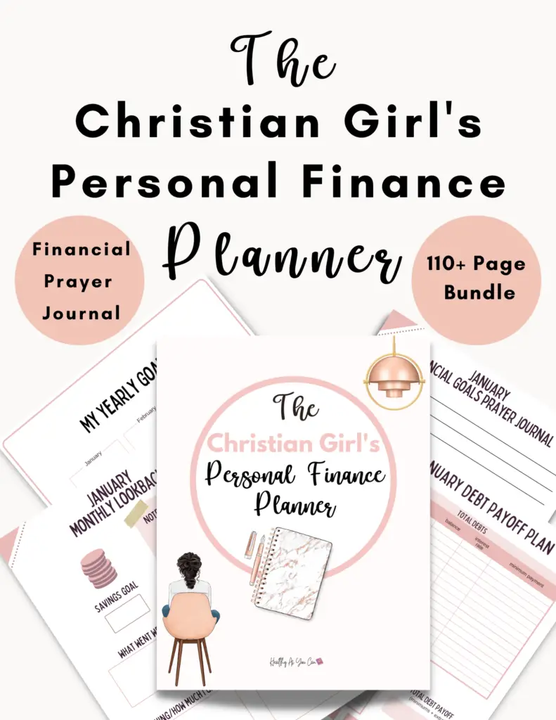nude pink colored budget planner